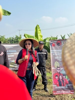 Peringati Hari Kartini, Tuti Turimayanti Pimpin Penanaman Singkong dan Lomba Kreatifitas Lokal 7