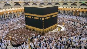 Nomor Darurat Jemaah Haji 2026 Wajib Disimpan, Ini Daftar dan Cara Menyimpannya (freepik)