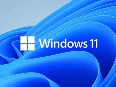 Windows 11