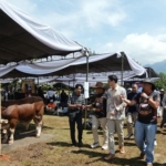 Gebyar Ternak Unpad 2026 Perkuat Kolaborasi dan Daya Saing Peternak Lokal