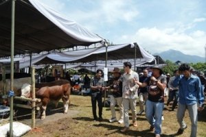 Gebyar Ternak Unpad 2026 Perkuat Kolaborasi dan Daya Saing Peternak Lokal 2