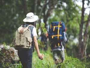 Ilustrasi. Enam pendaki tersesat di Gunung Lamari Ampana (Freepik).