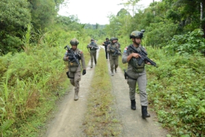 Satgas Damai Cartenz Di Serang KKB