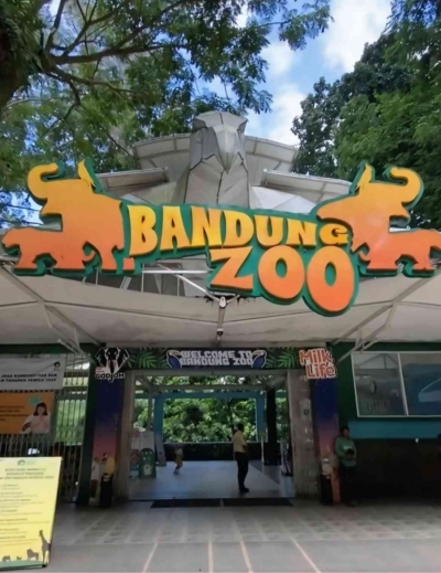 Instruksi Dari Megawati Bantu Pakan Untuk Bandung Zoo