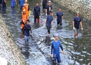 Penangkapan ikan sapu-sapu di kali depan Plaza Indonesia (Pemprov DKI).
