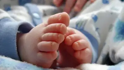 11 Bayi Dievakuasi dari Rumah Bidan di Sleman