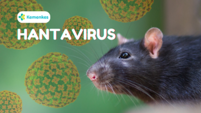 Penyebaran Wabah Henta Virus Jadi Sorotan Global