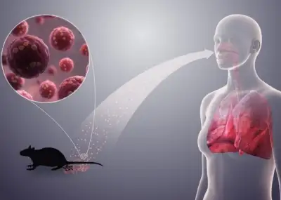 Update Terjadi Penyebaran Hanta Virus