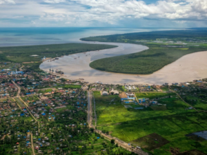 The Real Pesta Babi? Puluhan Ekskavator Masuk Merauke, Papua di Ambang Kehancuran