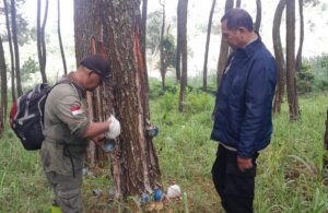Perhutani Bandung Utara dan Kepolisian Gelar Patroli Gabungan Antisipasi Karhutla dan Gangguan Keamanan Hutan