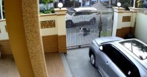 Viral Lansia di PIK Nyaris Diculik Saat Olahraga Pagi, Polisi Buru Pelaku yang Kabur (foto: istimewa)