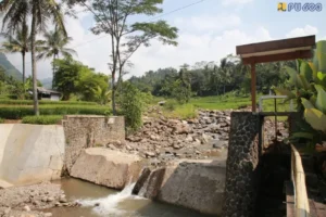 Rehabilitasi Irigasi Bogor Mendorong Indeks Pertanaman ke 300