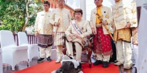 Mantan Presiden Jokowi injak kepala kerbau di Lampung dianggap sinyal perlawanan ke PDIP