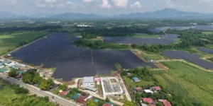Pertamina NRE Kantongi Dividen CREC Usai ROI 43,4%