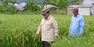 Prabowo Buka Ekspor Pangan Asal Petani, Jamin Tanpa Kerugian