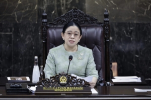 Puan Maharani Minta Antisipasi Dampak Karhutla Diperkuat, Keselamatan Warga Jadi Prioritas 1