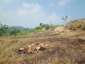 FMB Desak Pemerintah dan APH Selesaikan Persoalan Lahan PT BJA