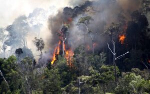 Kabupaten Bandung Barat Hadapi Ancaman Kebakaran Hutan dan Lahan