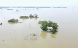 Ding Wei menyebut banjir Nanning menewaskan 39 dan 9 hilang
