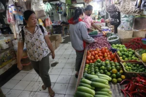 Bapanas Pastikan Cadangan Beras 5,2 Juta Ton Aman