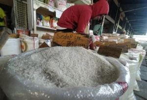 Bapanas: Pasokan beras premium aman, stok capai 5,2 juta ton