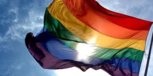 Wakil Ketua DPR RI Saan Mustopa: DPR akan mengkaji RUU Pidana LGBT usulan MUI