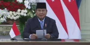 Pemerintah tunjuk BPI Danantara kelola listrik lintas batas