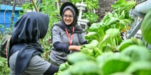 Pertamina Dorong Ekonomi Kampung Hijau Cemara Lewat GreenBus