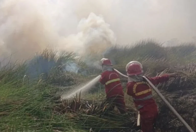 Kemenhut siagakan 180 Manggala Agni di Kalimantan Selatan