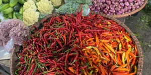 Cabai rawit merah turun 7,8% ke Rp57.250/kg