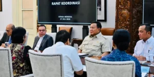 Presiden perintahkan KSSK libatkan BPI Danantara