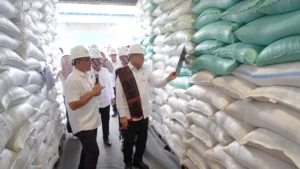 Menko Polkam sebut cadangan beras Bulog Sumut cukup 8 bulan