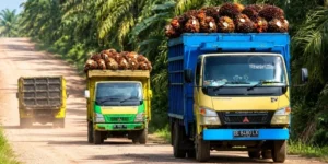 Bupati PPU Mudyat Noor: Perusahaan sawit belum optimal tanggung biaya perbaikan jalan