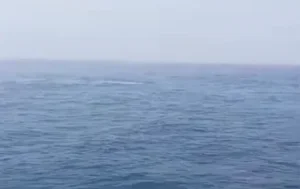 PHE ONWJ Pastikan Pasokan Gas Aman Usai Inspeksi di Ciparage
