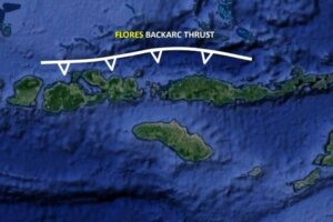 Sesar Flores penyebab Gempa NTT
