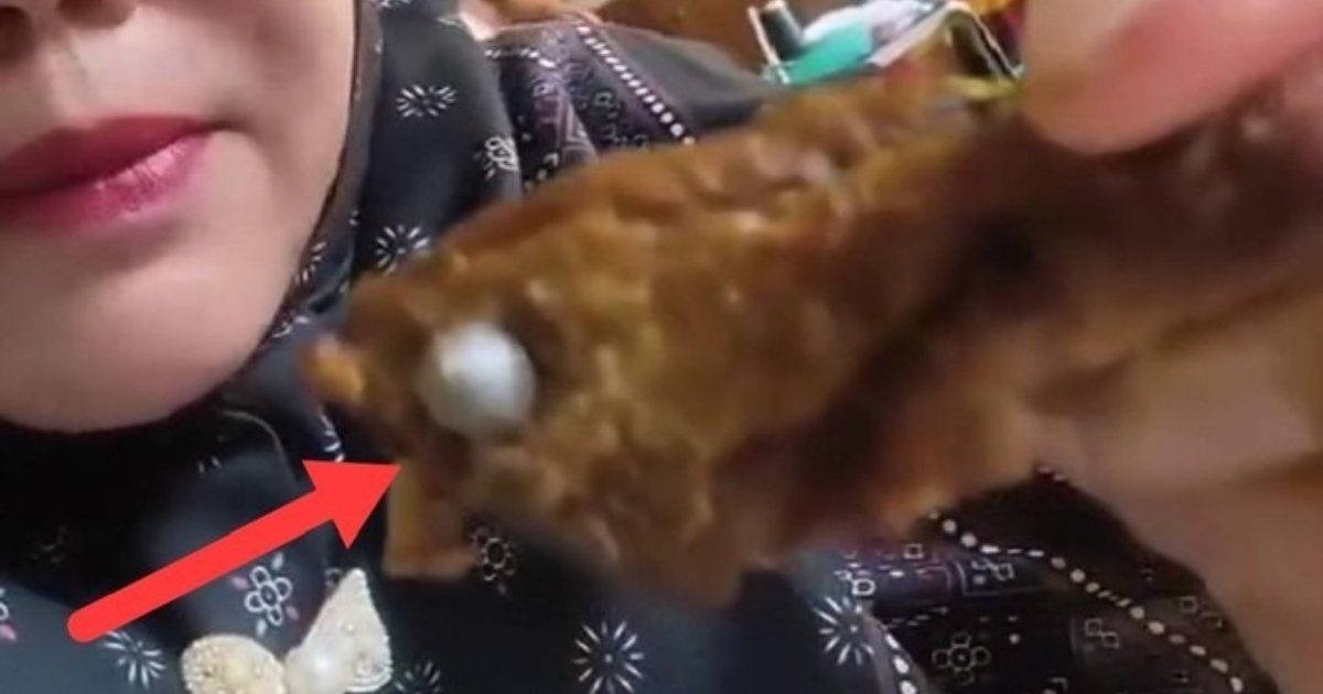 Temuan Benda Diduga Peluru di Menu MBG Gegerkan Warganet 1 diduga peluru