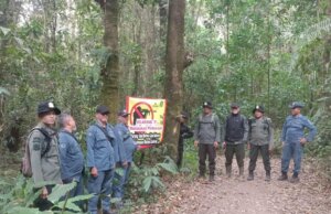 Perhutani dan Gakkum Kementrian Kehutanan Adakan Patroli Antisipasi Keamanan Hutan di Lembang