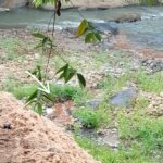 Sungai Cidadap Terancam Jadi Tempat Pembuangan Limbah dan Sampah, Aktivis Lingkungan Desak Penanganan Serius
