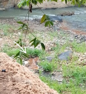 Sungai Cidadap Terancam Jadi Tempat Pembuangan Limbah dan Sampah, Aktivis Lingkungan Desak Penanganan Serius