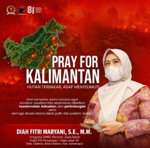Diah Fitri Maryani Dorong Sinergi Tangani Karhutla Kalimantan, Keselamatan Warga Harus Jadi Prioritas 4