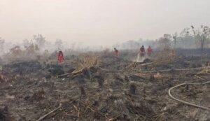 Enam Pemegang Izin Usaha Kehutanan Diberikan Sanksi dan Pembekuan Izin Terkait Kebakaran Hutan dan Lahan