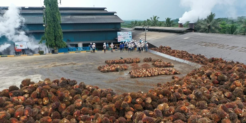 BWPT menegaskan tidak ada hubungan korporasi dengan FELDA 1 BWPT menegaskan tidak ada hubungan korporasi dengan FELDA