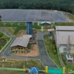 BWPT Siapkan Dividen Setelah EBITDA Tembus Rp1,6 triliun