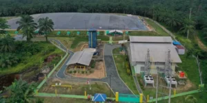 BWPT Siapkan Dividen Setelah EBITDA Tembus Rp1,6 triliun