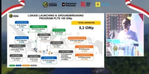 PLTS 100 GW di Bali menarik investasi US$73 miliar