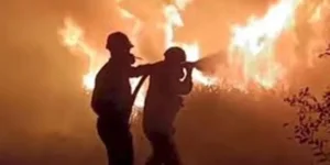 DPR RI Yulian Gunhar Dorong Deteksi Dini Karhutla di Sumsel untuk Lindungi Lingkungan