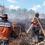 Karhutla Menjadi Bencana Nasional: Tanggapan Puan Maharani dan Pemerintah dalam Penanganan Krisis