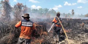 Karhutla Menjadi Bencana Nasional: Tanggapan Puan Maharani dan Pemerintah dalam Penanganan Krisis