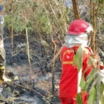 Menteri Kehutanan Raja Antoni Tinjau Penanganan Karhutla di Kalsel meski Gambut Masih Berasap