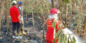 Menteri Kehutanan Raja Antoni Tinjau Penanganan Karhutla di Kalsel meski Gambut Masih Berasap